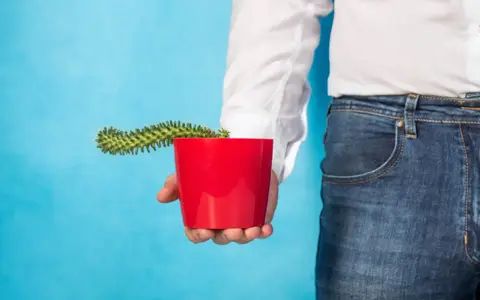 Man holding a small cactus in a red pot
