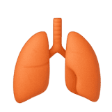 Hepatitis A